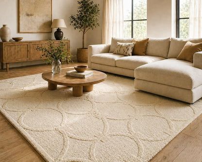 AR-010 | Circular Geometric Hand-Tufted Rug My Store